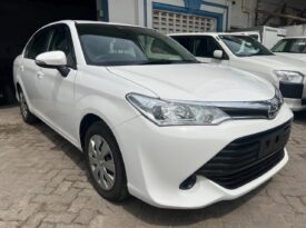 TOYOTA AXIO (8862)